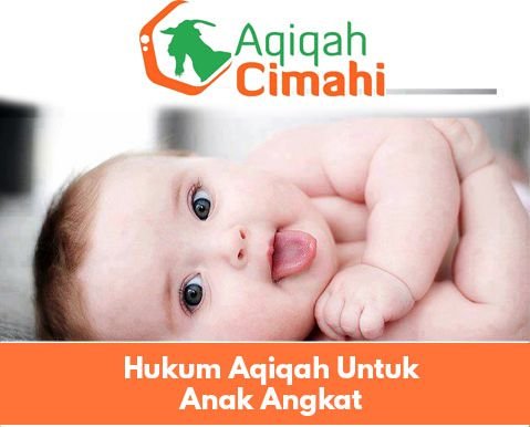 aqiqah anak angkat