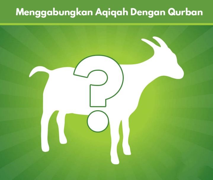 menggabungkan aqiqah dengan qurban_compressed