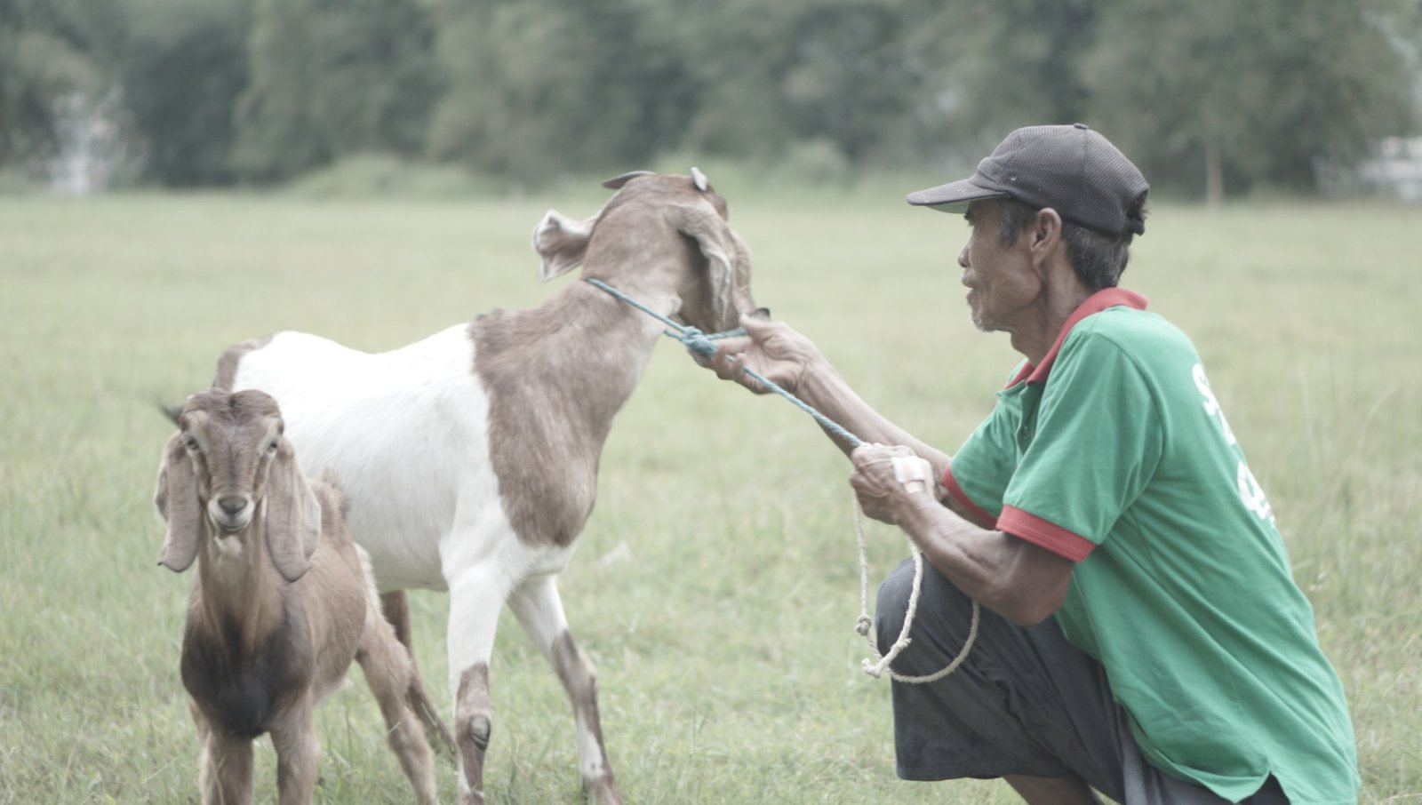 Aqiqah Cimahi | Berkualitas, Enak, Porsi Memuaskan dan Bersertifikat MUI